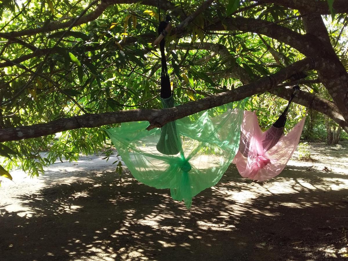 Eco-Camping Mango Feliz Rincon Del Mar San Onofre Eksteriør bilde