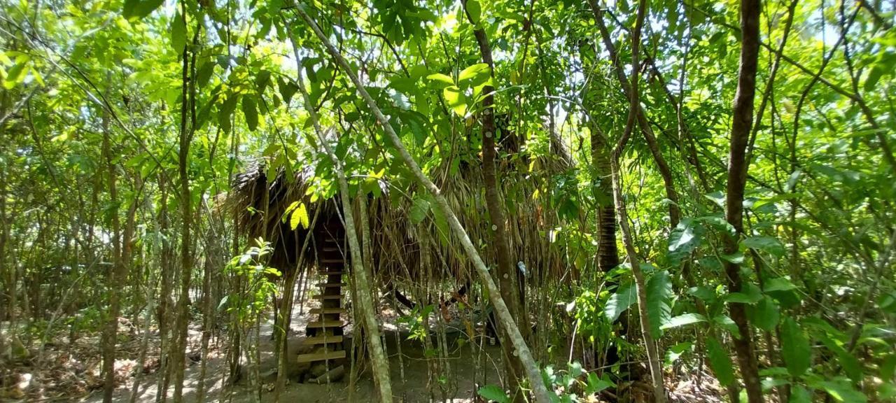 Eco-Camping Mango Feliz Rincon Del Mar San Onofre Eksteriør bilde