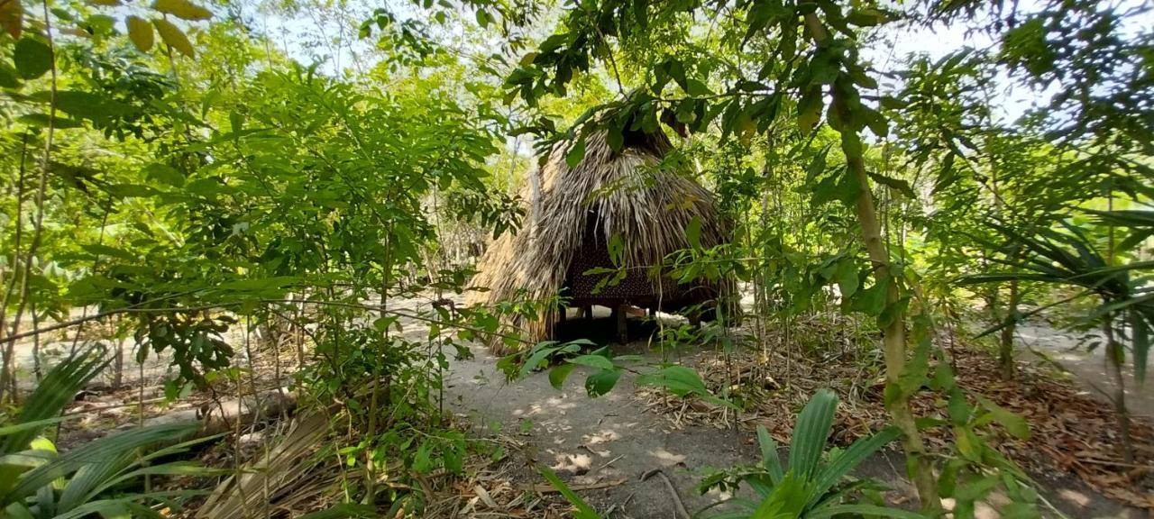 Eco-Camping Mango Feliz Rincon Del Mar San Onofre Eksteriør bilde