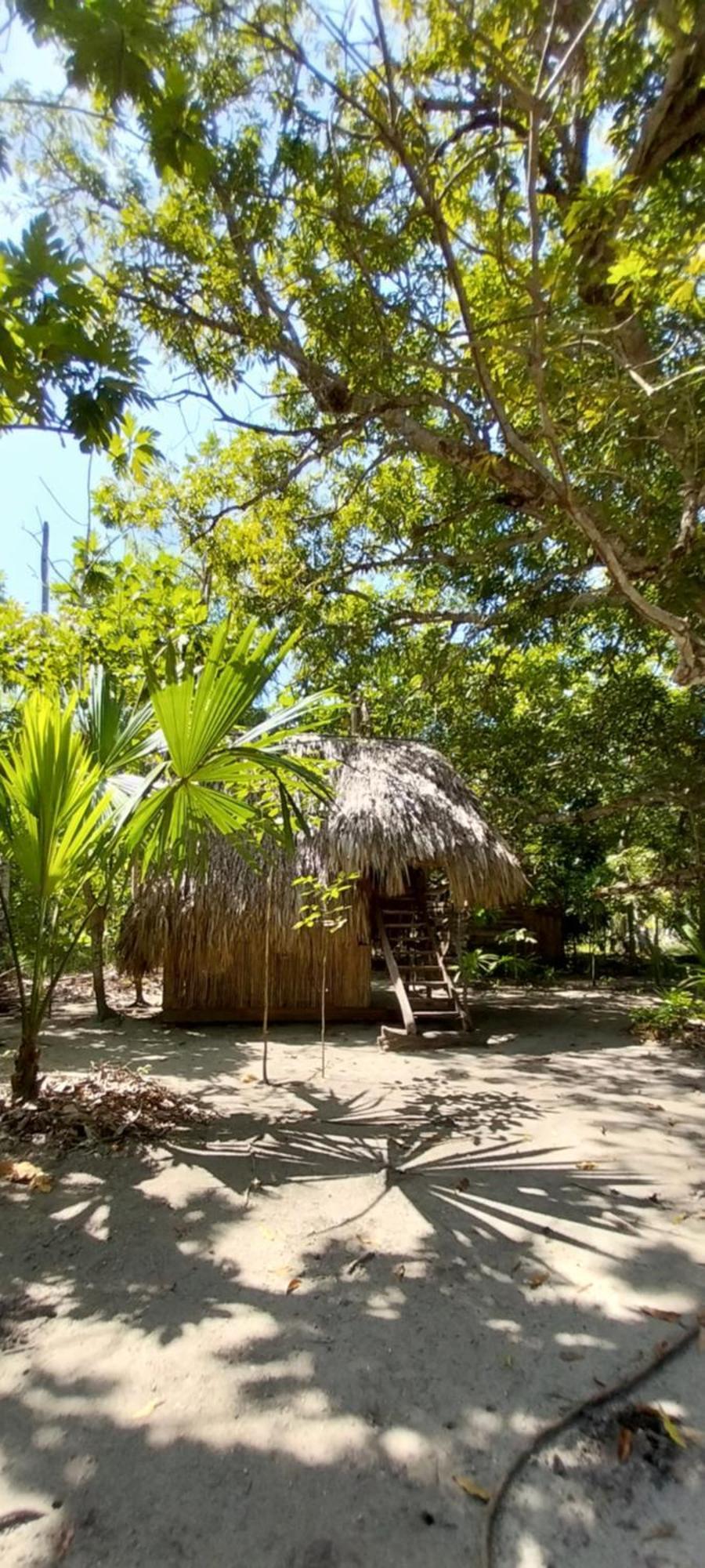 Eco-Camping Mango Feliz Rincon Del Mar San Onofre Eksteriør bilde