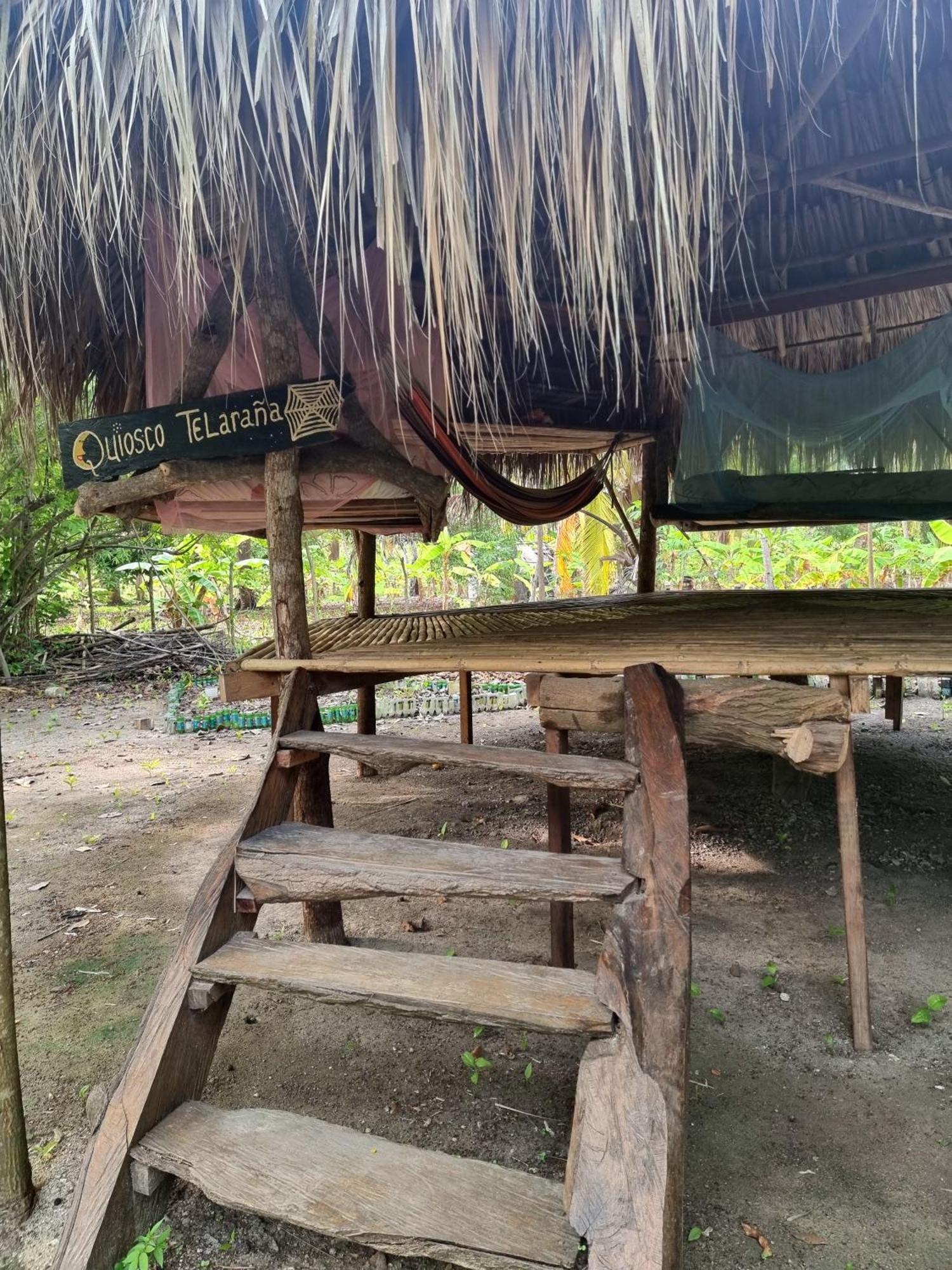 Eco-Camping Mango Feliz Rincon Del Mar San Onofre Eksteriør bilde