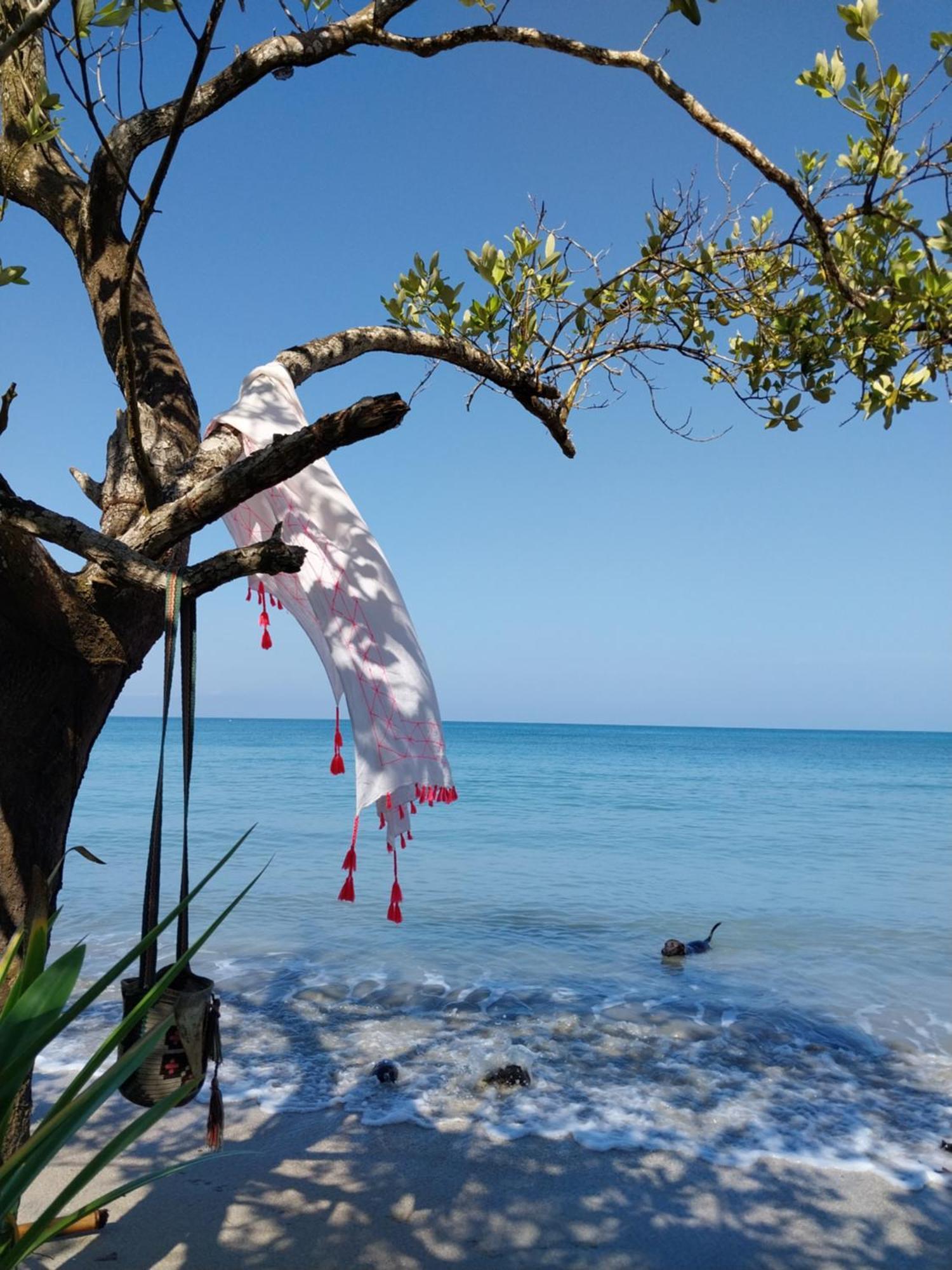 Eco-Camping Mango Feliz Rincon Del Mar San Onofre Eksteriør bilde