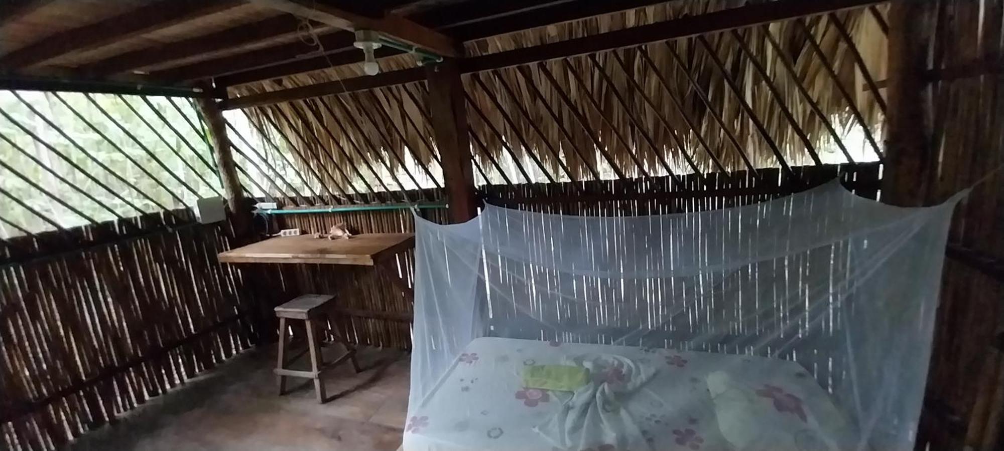 Eco-Camping Mango Feliz Rincon Del Mar San Onofre Eksteriør bilde