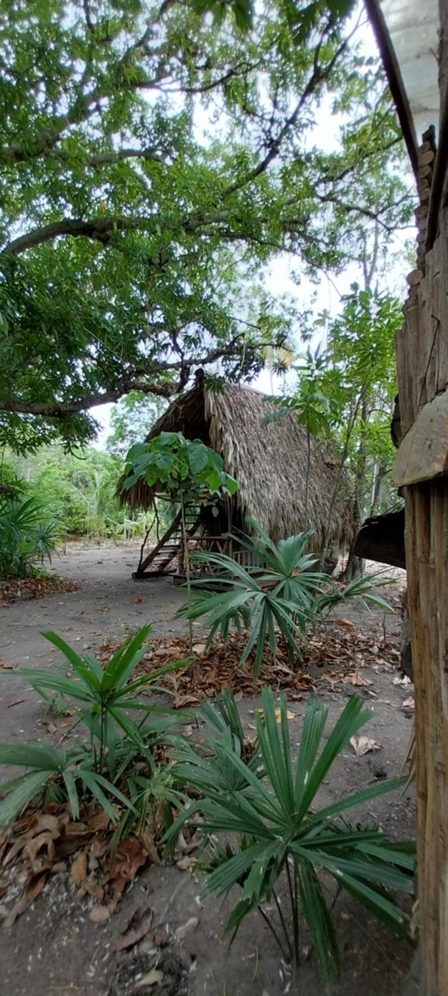 Eco-Camping Mango Feliz Rincon Del Mar San Onofre Eksteriør bilde