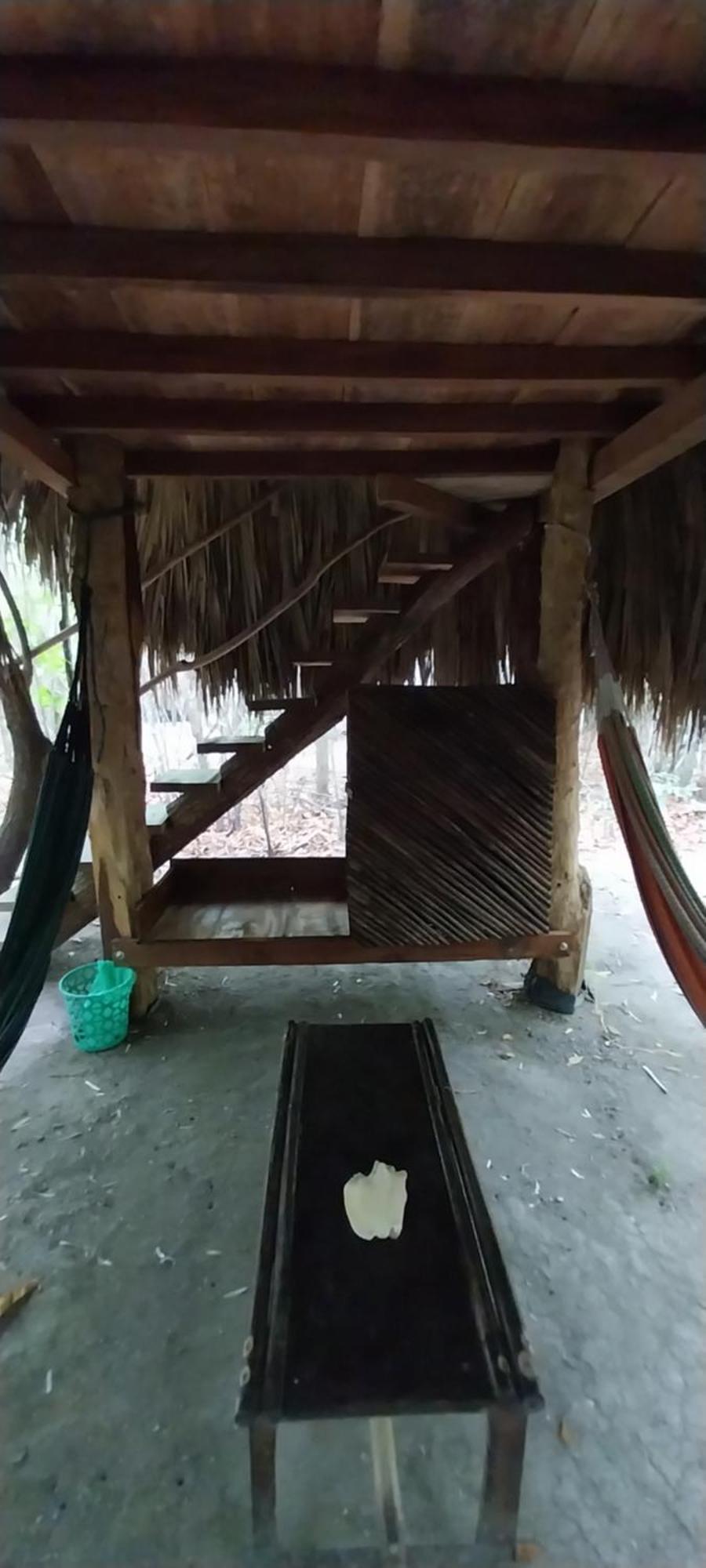 Eco-Camping Mango Feliz Rincon Del Mar San Onofre Eksteriør bilde
